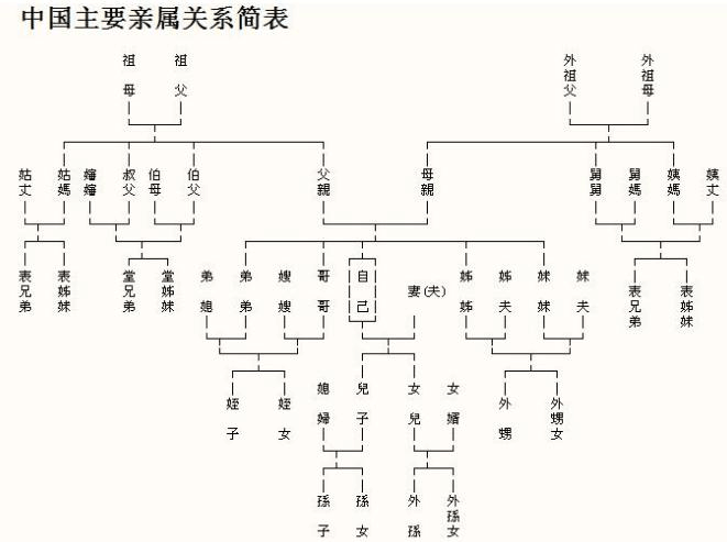 中国主要亲属关系图